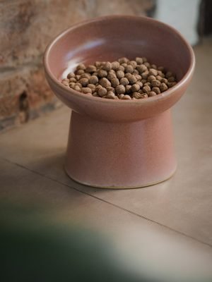 Pote companheiro – para pet – rosa terra