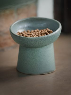 Pote companheiro – para pet – verde
